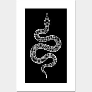 Snake Illustration minimalist aesthetic Posters and Art